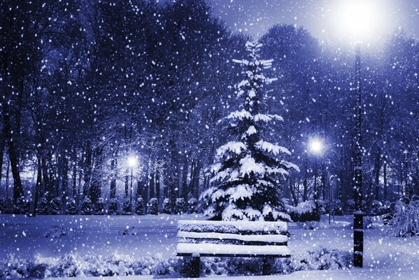 Ein mit Schnee bedeckter Weihnachtsbaum im Winterpark