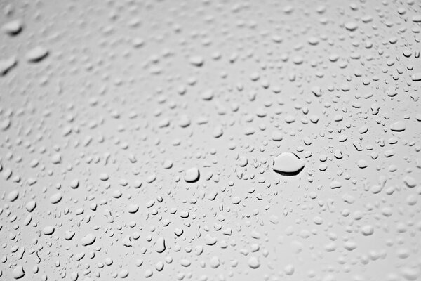 Wassertropfen auf hellgrauem Hintergrund