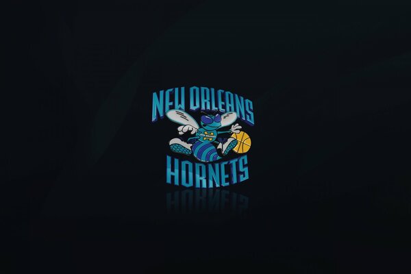 Das Logo des Basketballteams von New Orleans