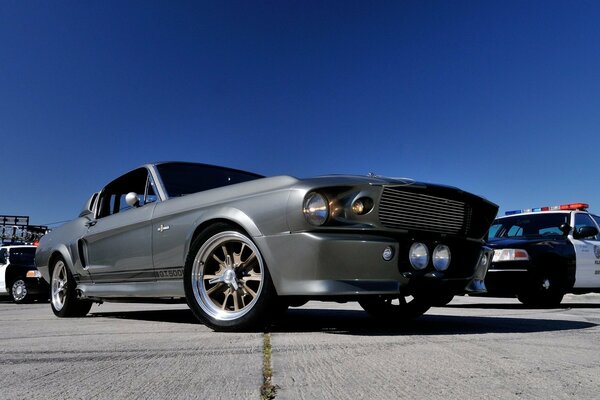 Ford Mustang Retro Schubkarre