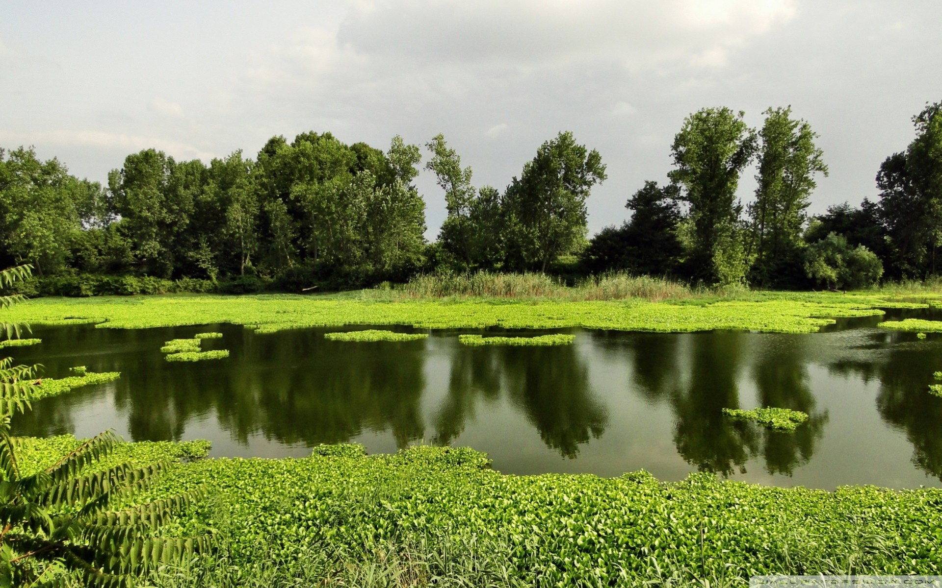 see landschaft sommer natur