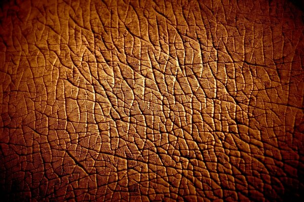 Das braune Material ähnelt der Haut eines Nilpferdes
