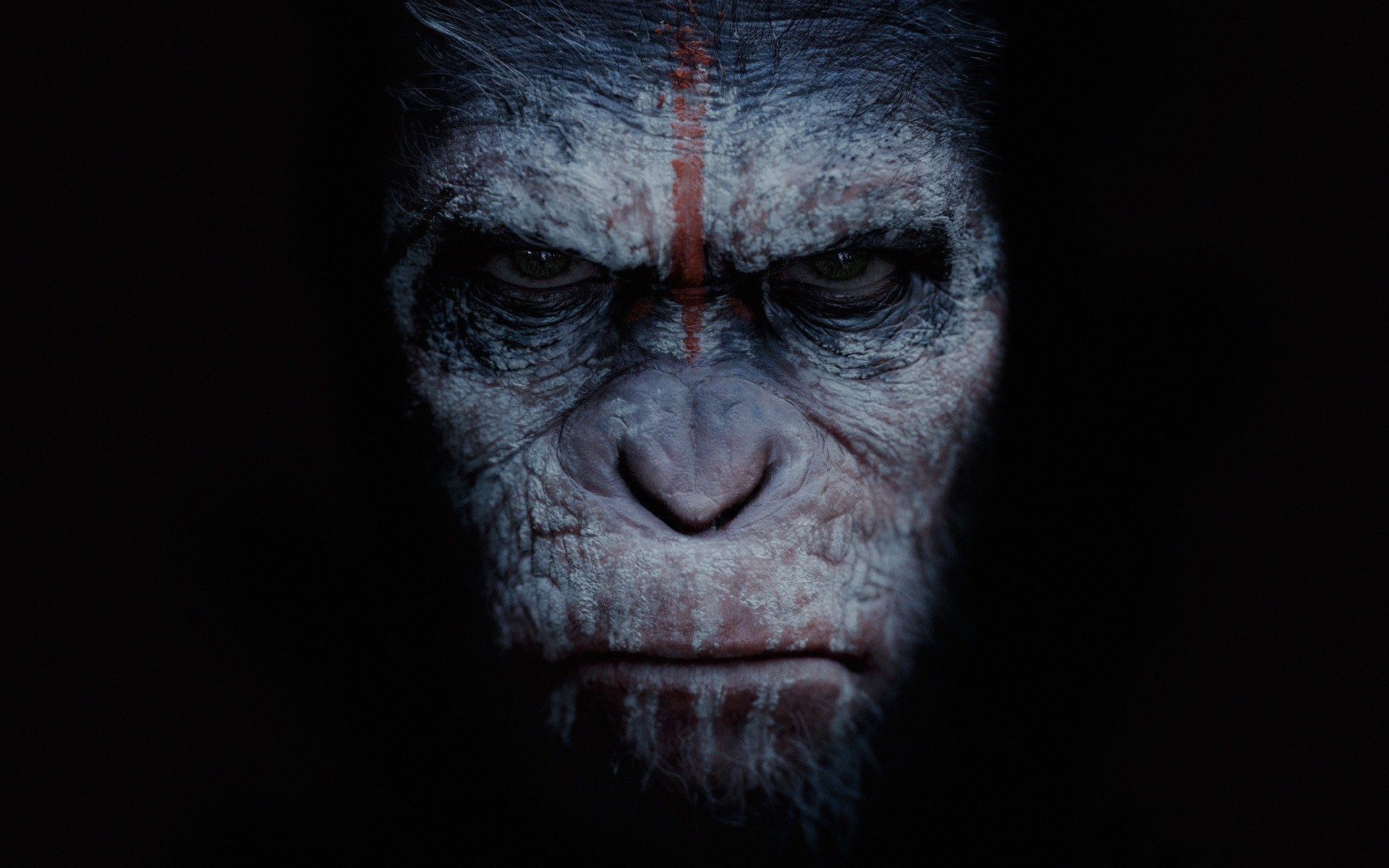 planet der affen revolution ansicht tiere fantasie affe