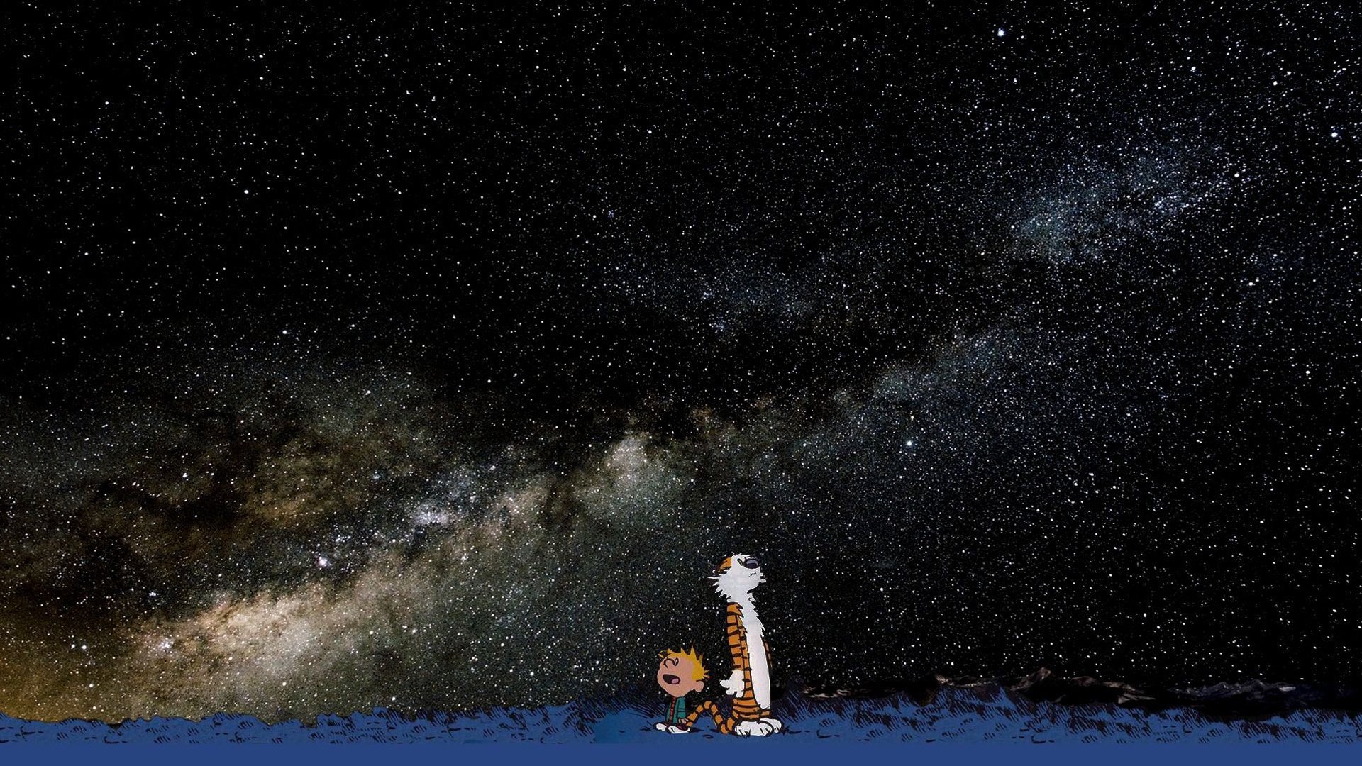 calvin und hobbes calvin und hobbes hobbes junge sterne tiger