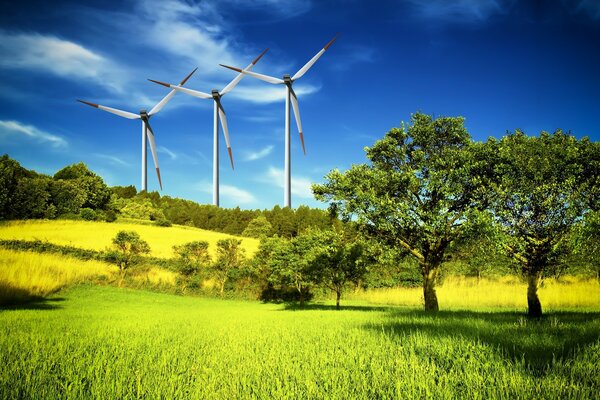Windmühlen auf der Wiese