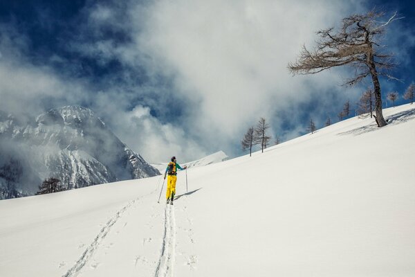 Skifahrer auf einem Berggipfel