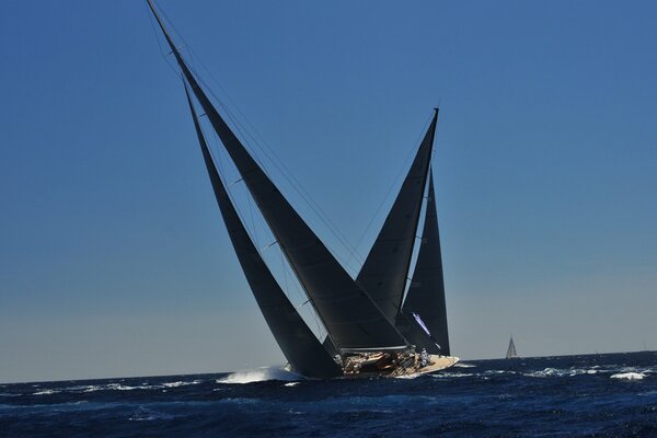 Diejenigen, die Segelyachten betreiben, nehmen an einer Regatta auf See teil