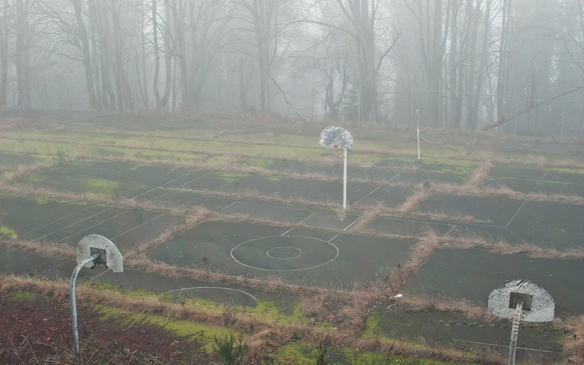 spielplatz nebel sport