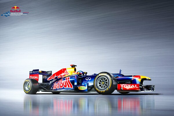 Sebastian Vettels Bolide bei f1