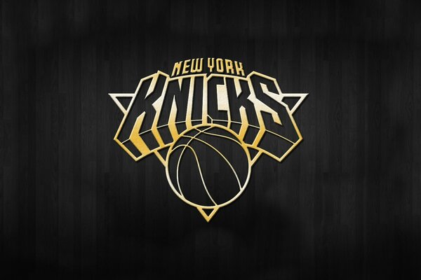 Das prägnante und schöne Logo des Basketballclubs