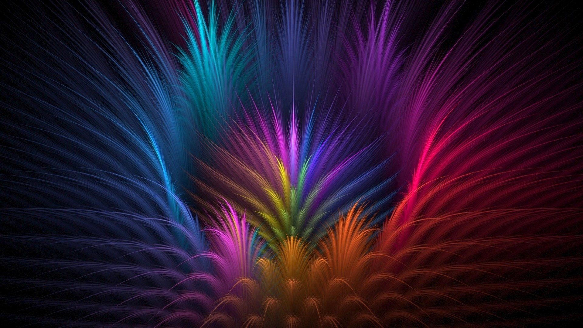 farbe licht strahlen blütenblätter linien federn volumen blume