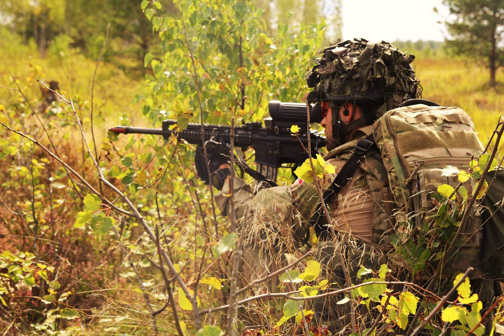 dänische armee soldat waffe