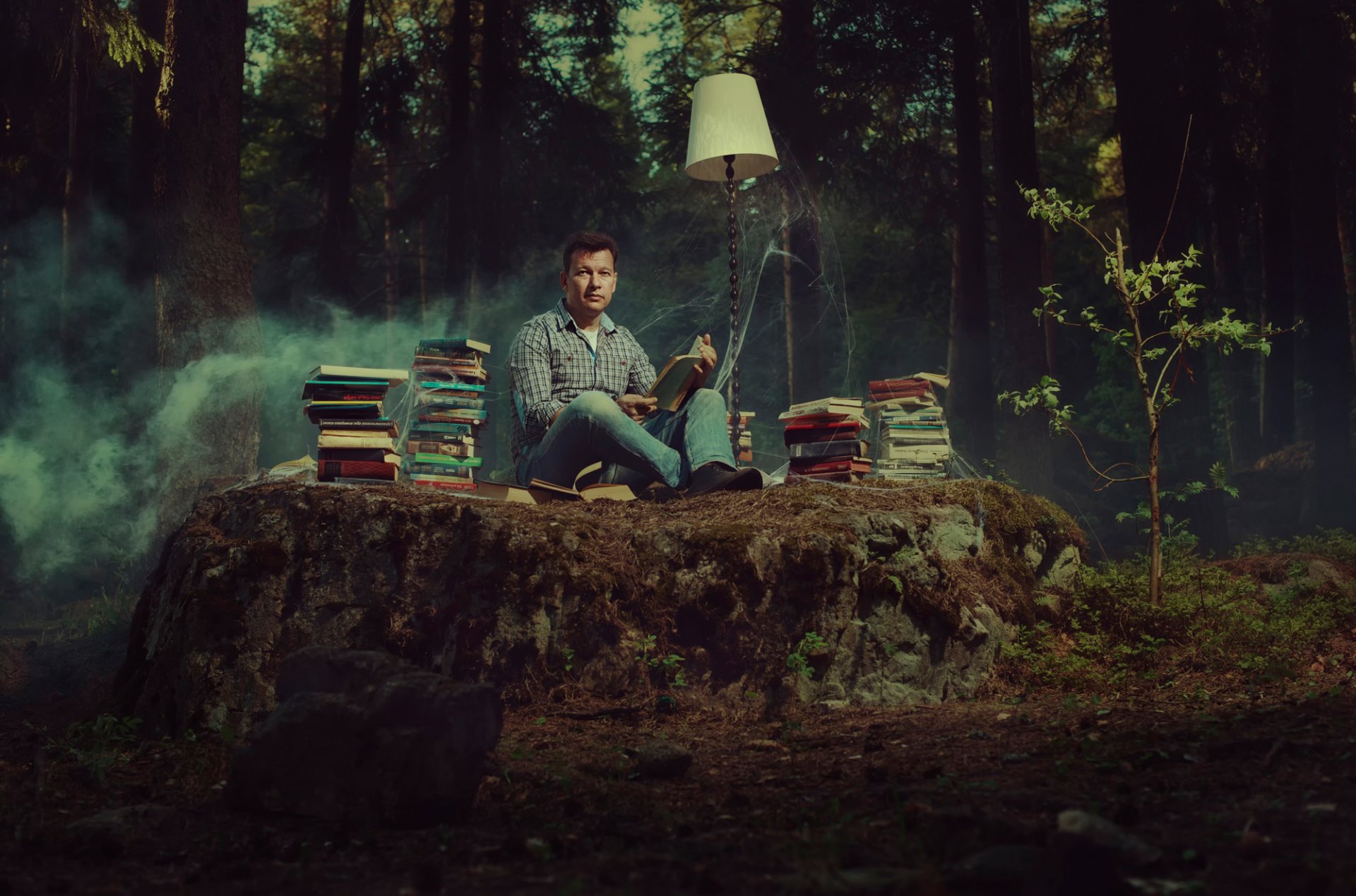 bücher lampe spinnennetz wald buchliebhaber lesen