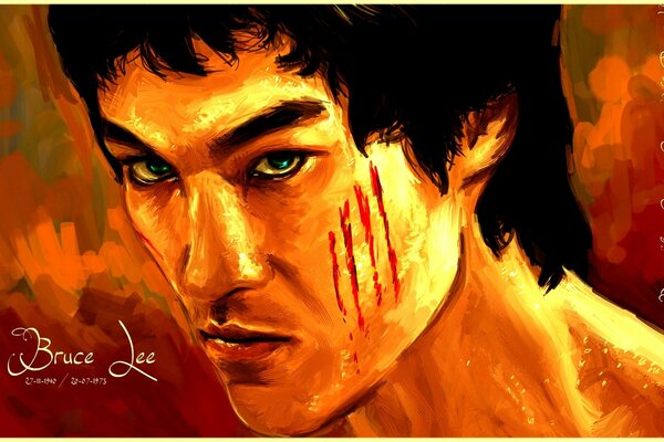 Der feurige Blick von Bruce lee