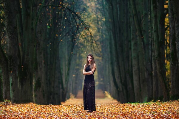 Mädchen in der Gasse im Herbst