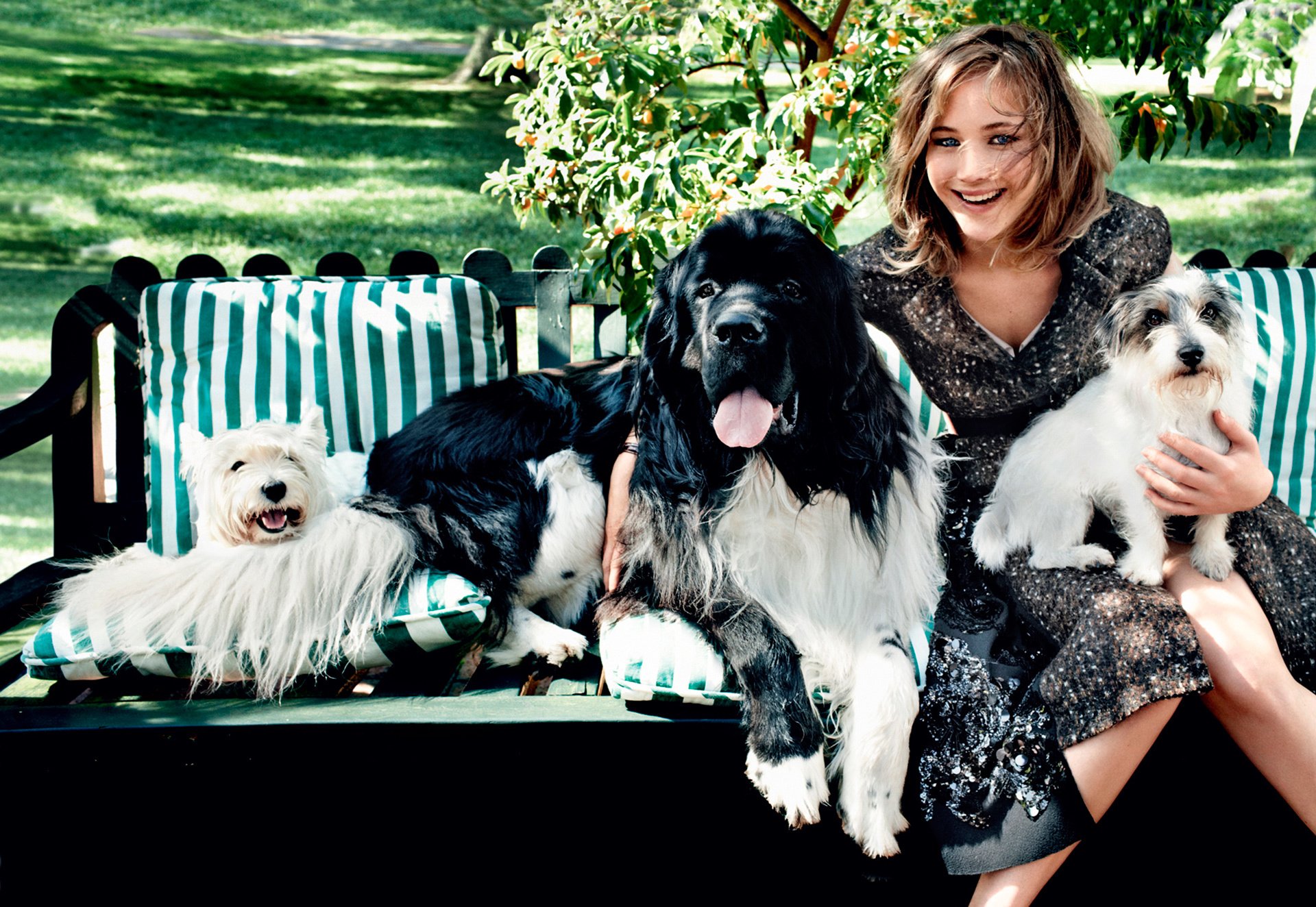 jennifer lawrence hunde lachen mode