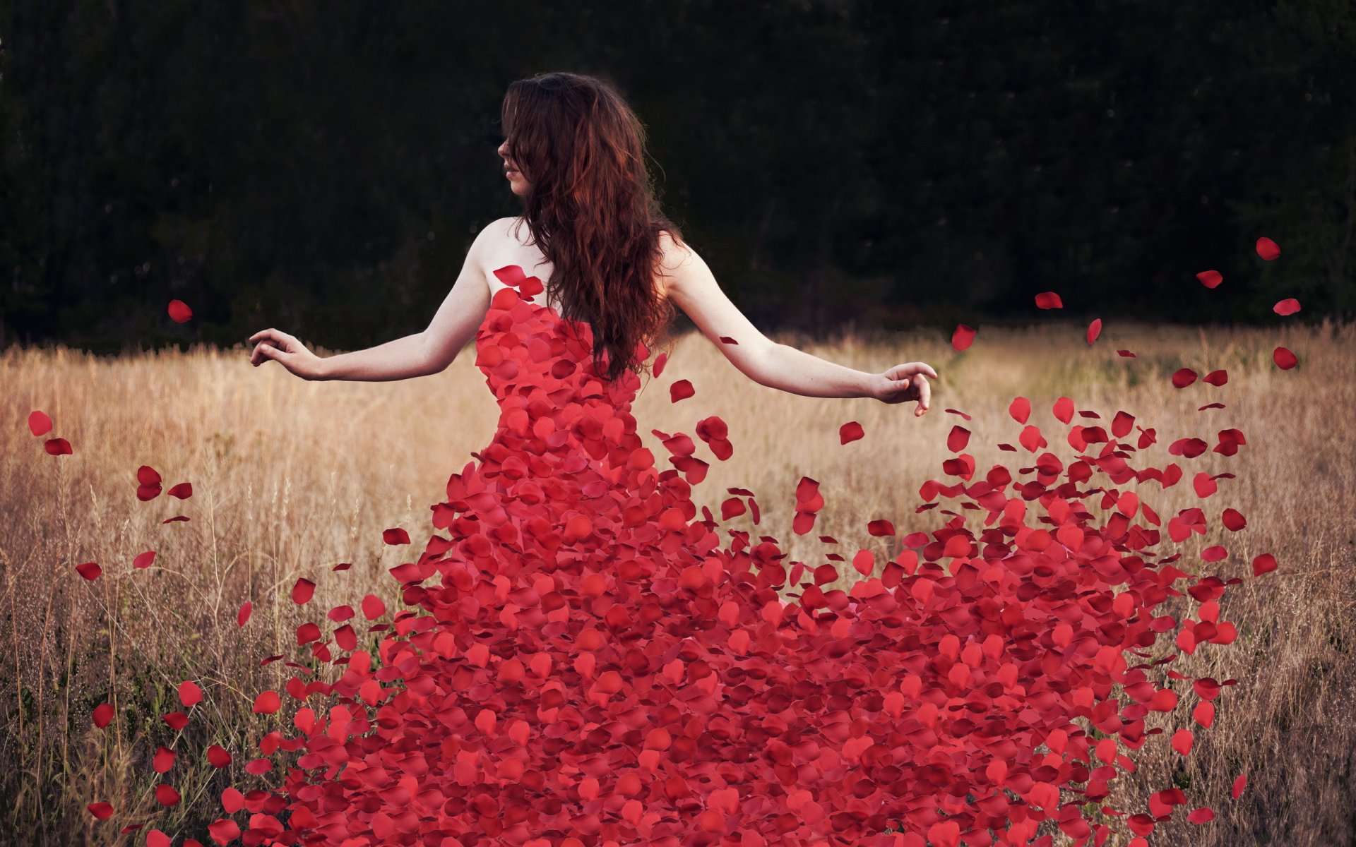 blumen rosedress blütenblätter
