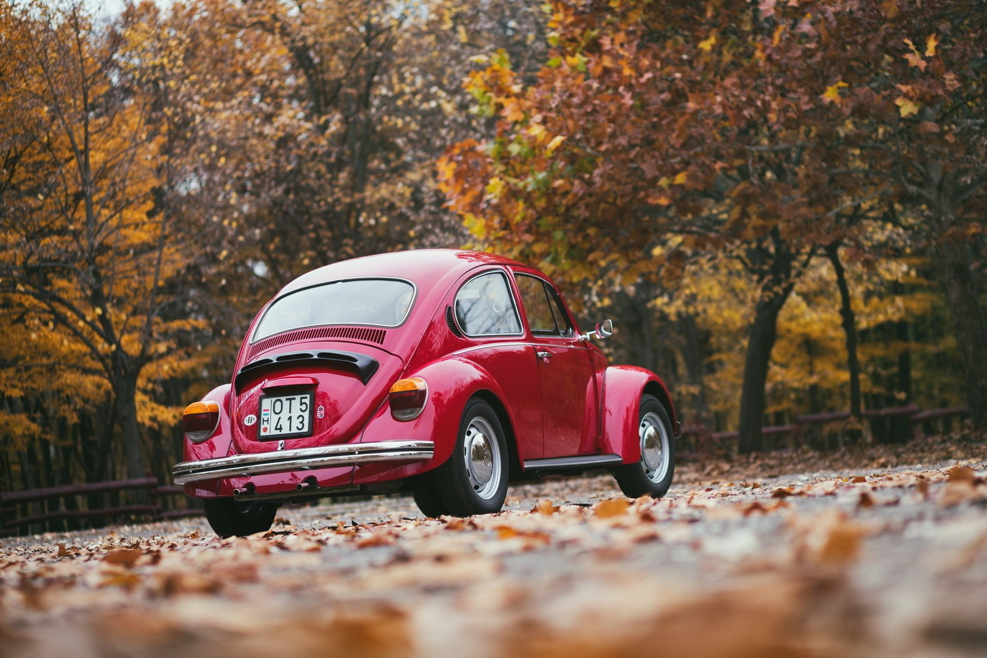 volkswagen retro herbst rot hinten blätter