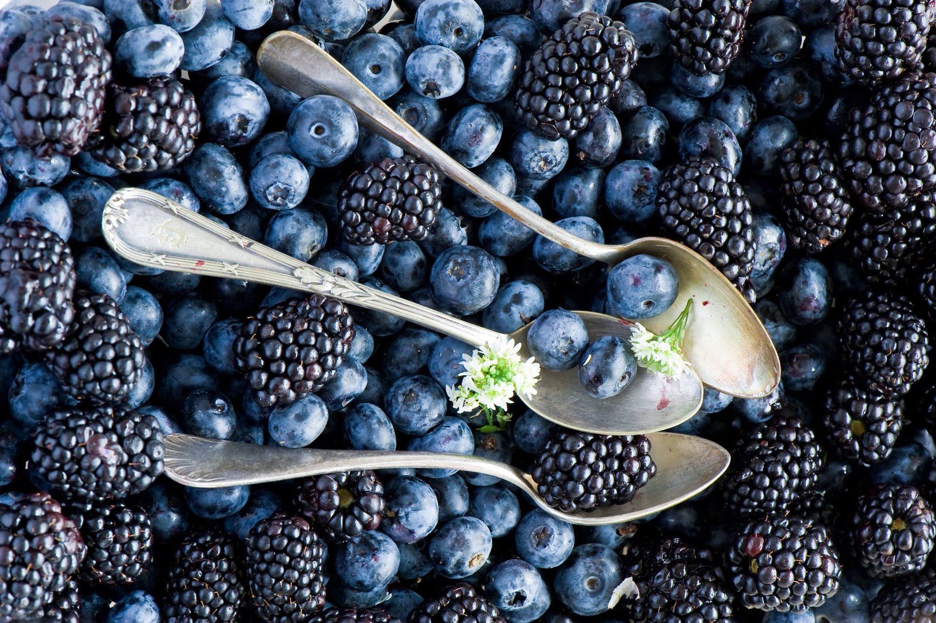 heidelbeeren brombeeren beeren löffel anna verdina