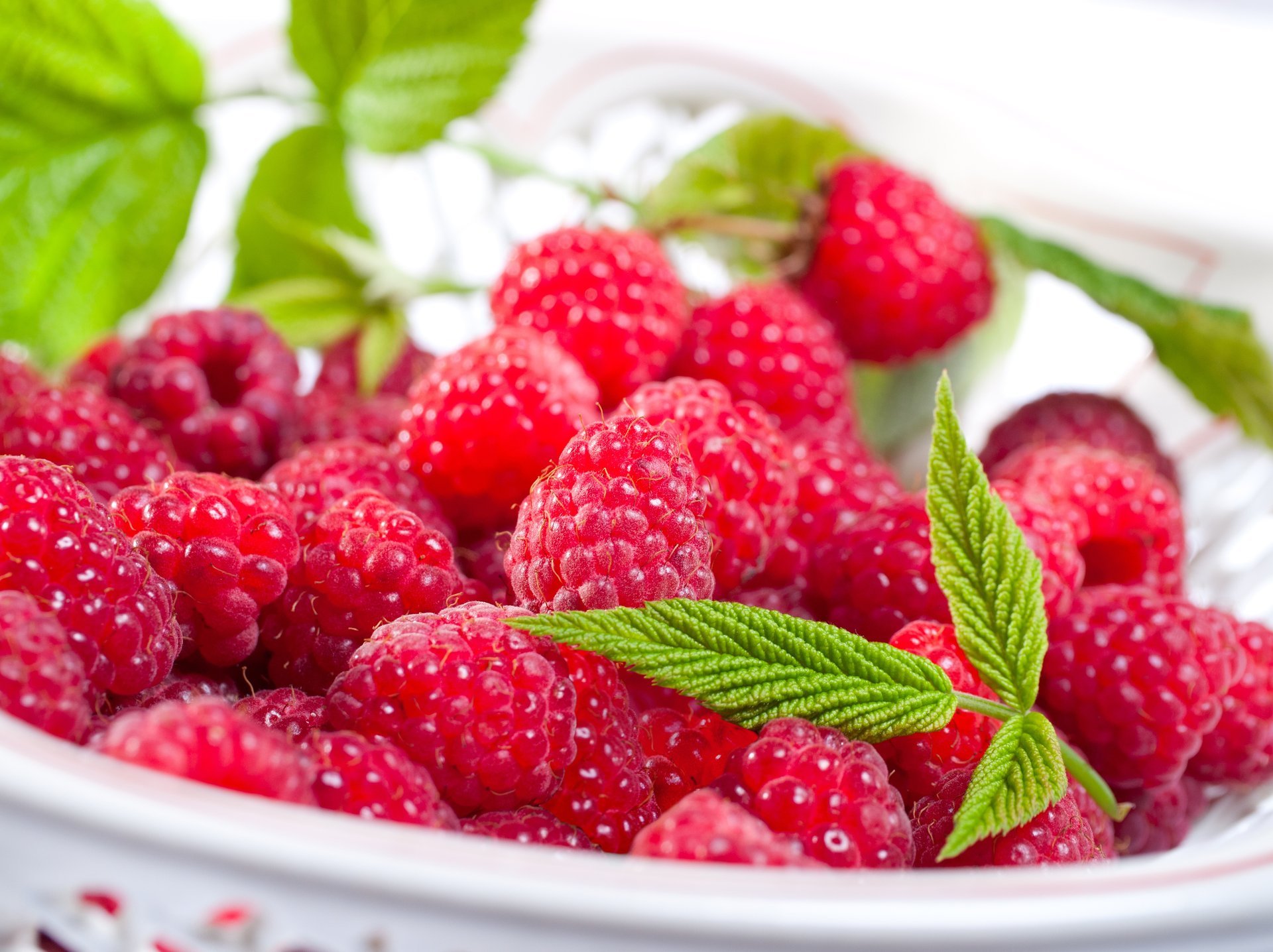 himbeeren beeren teller blätter