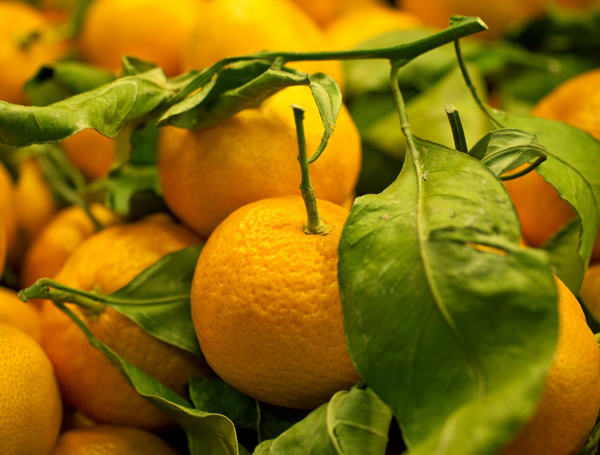 obst mandarinen delikatesse