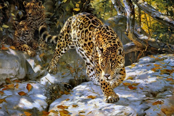 Jaguar im Herbst bereitet sich auf den Sprung vor