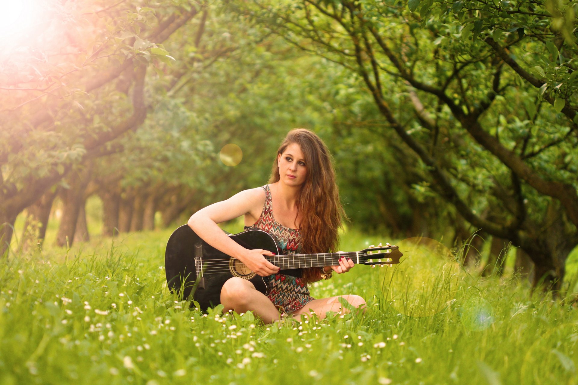 fanny gitarre musik
