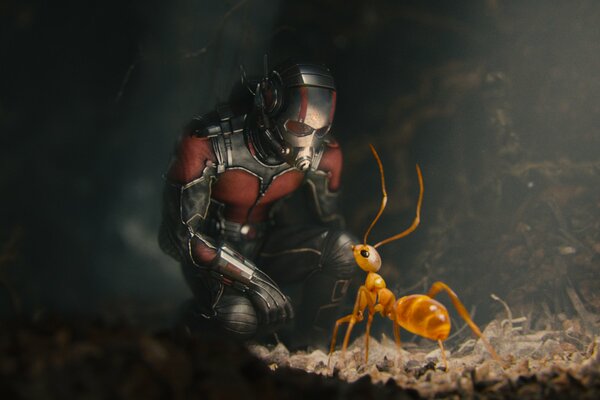 Ein Marvel-Superheld setzte sich vor eine Ameise