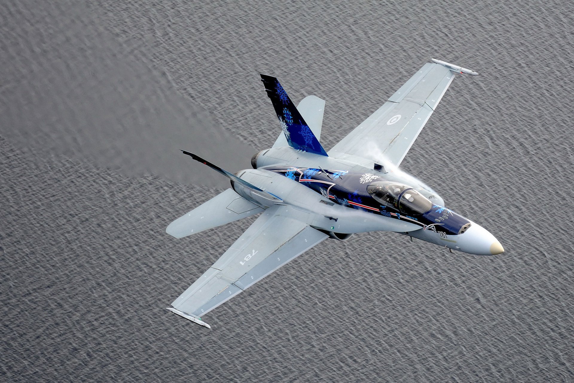 cf-18 hornisse kämpfer abfangjäger