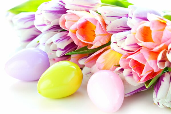 Frühlingstulpen mit Eiern zu Ostern