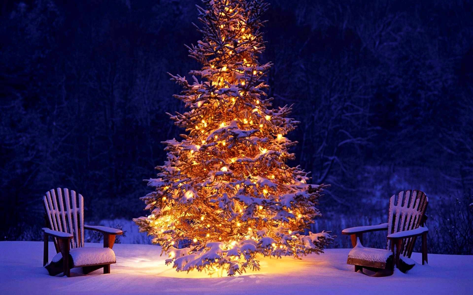 winter urlaub schnee wald weihnachtsbaum lichter frohes neues jahr weihnachten winter weihnachtsbaum lichter neues jahr urlaub