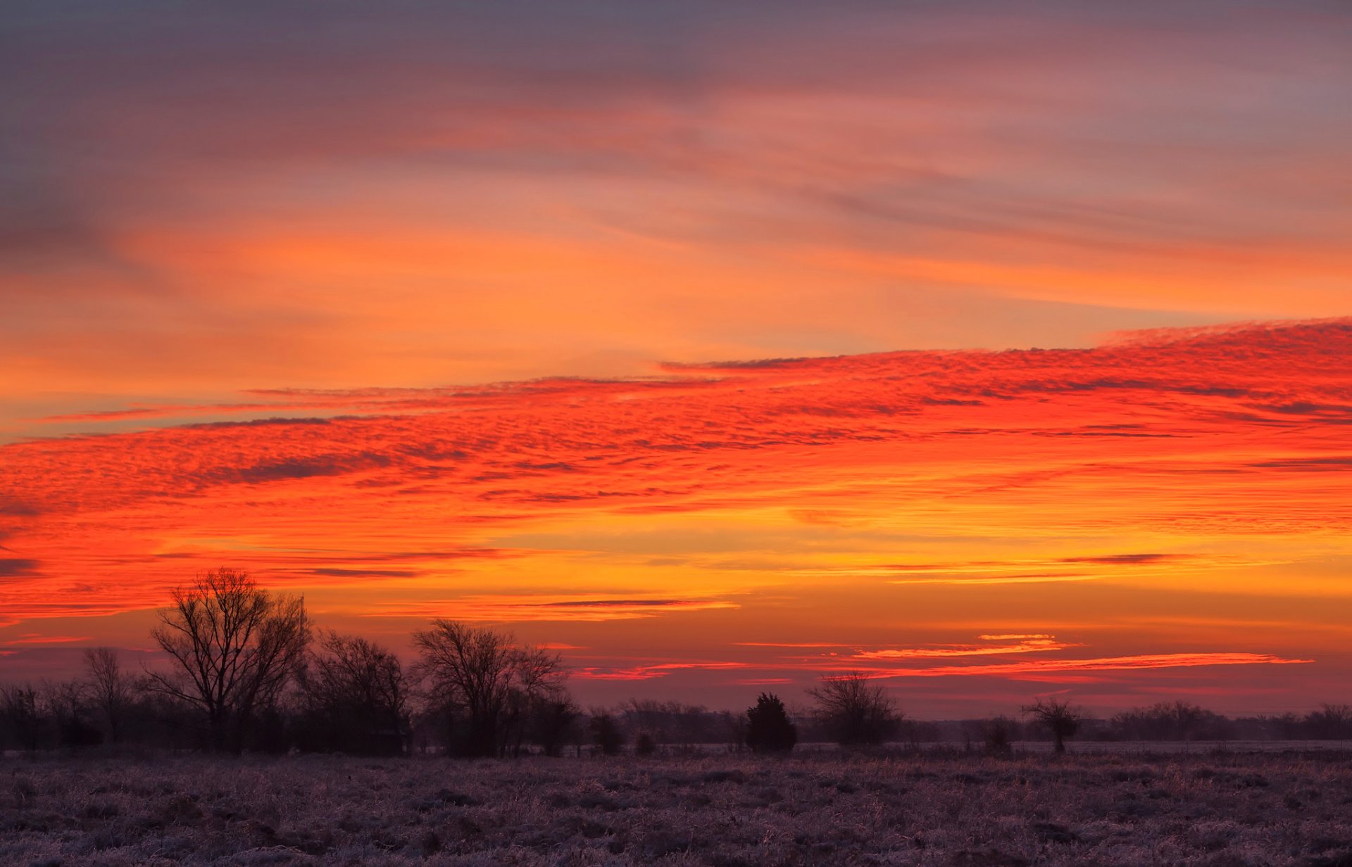 himmel wolken sonnenuntergang feld bäume