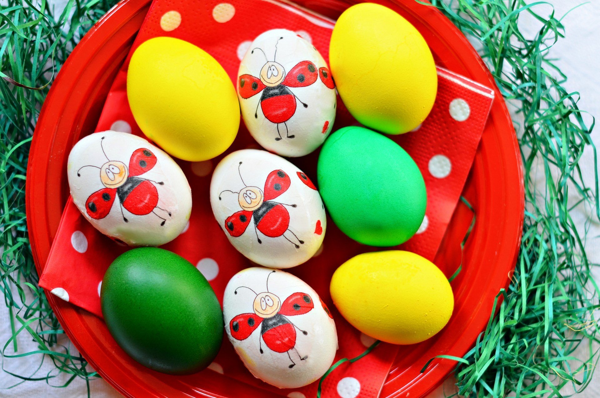 ostern feiertag teller eier zeichnung