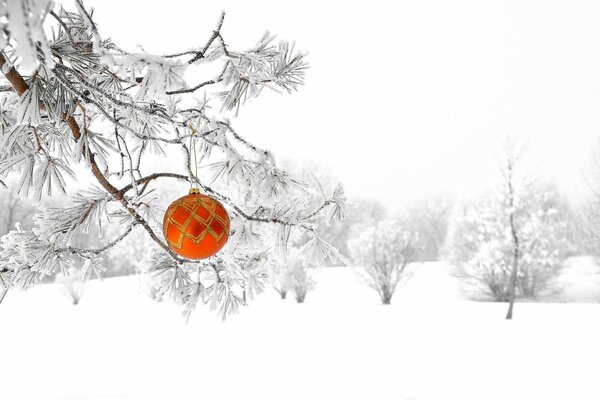 Weihnachtsdekoration auf einer schneebedeckten Tanne