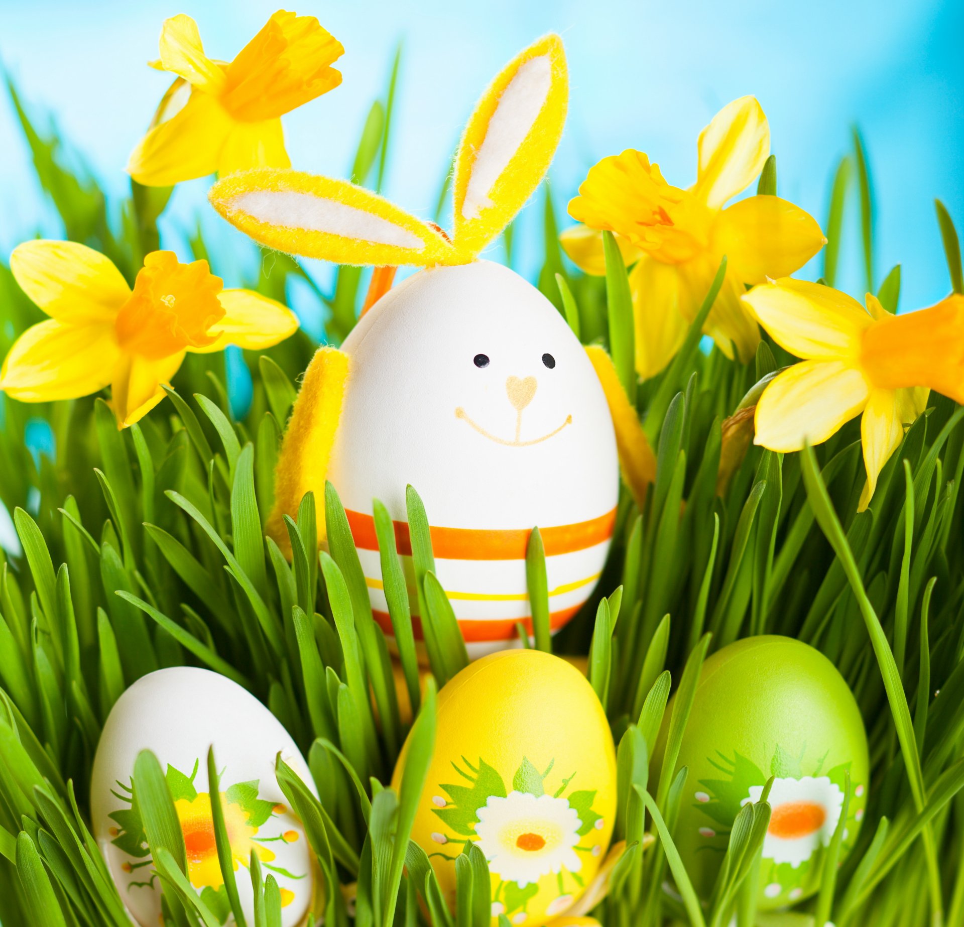 ostern kaninchen frühling narzissen gras blumen eier frühling