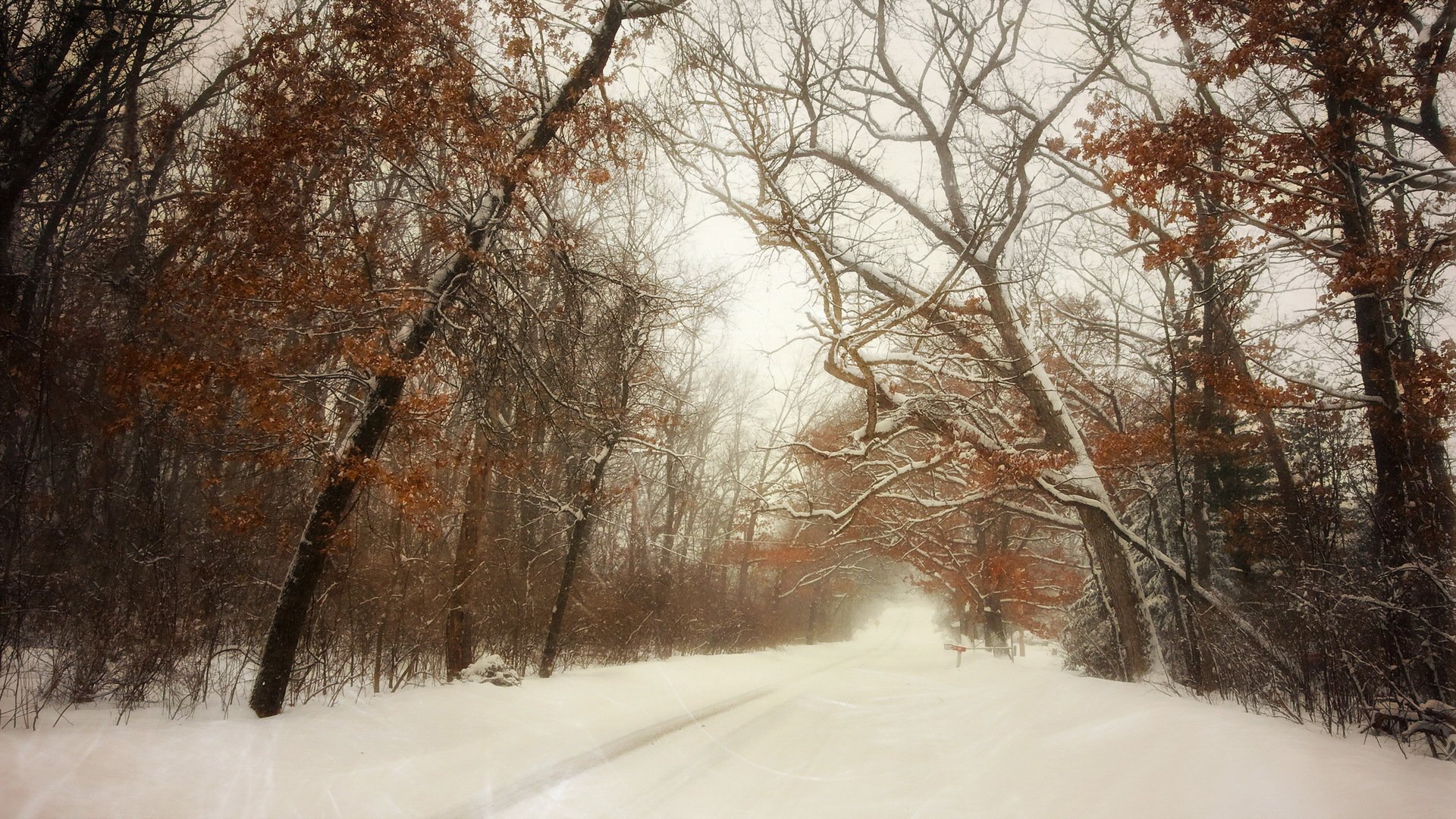 winter straße schnee landschaft
