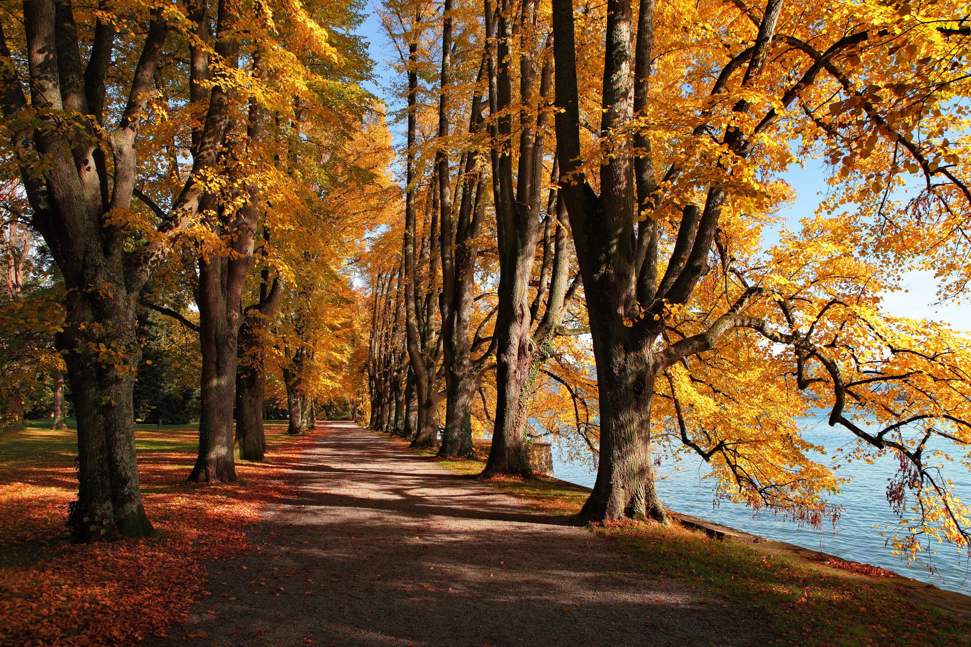 see herbst blätter park