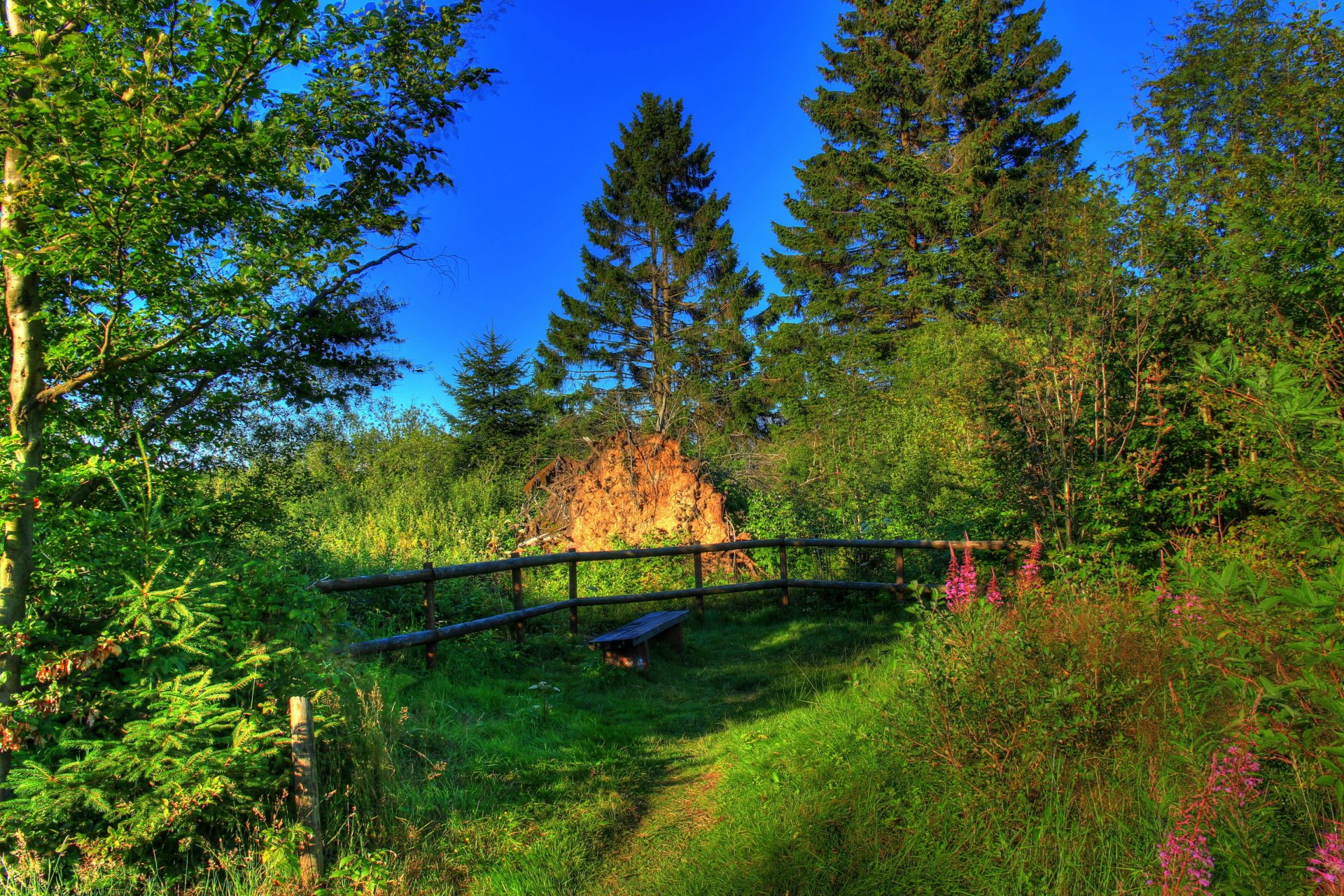 landschaft deutschland sommer hessen natur