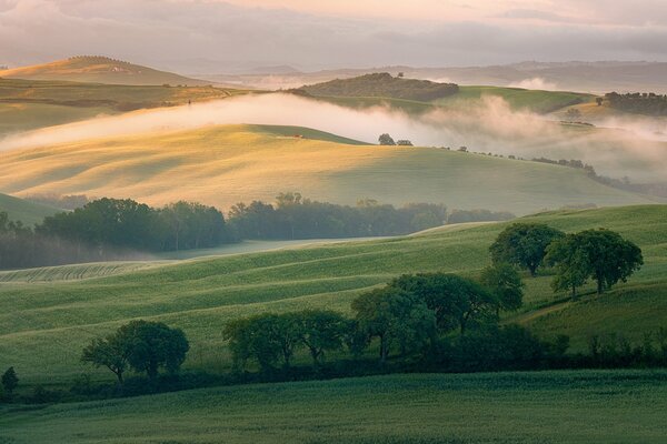 Felder in Italien am Morgen mit Nebel