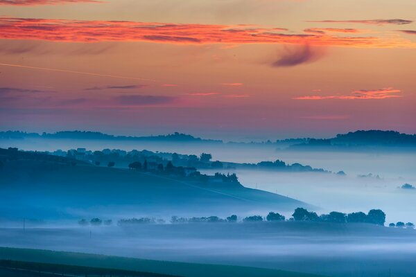 Morgen Himmel Nebel Bäume