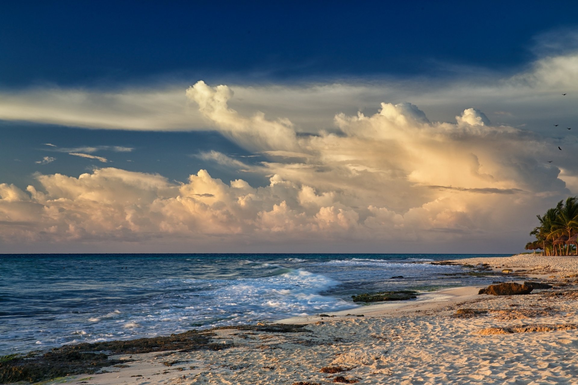 meer strand sand palmen wind wellen wolken