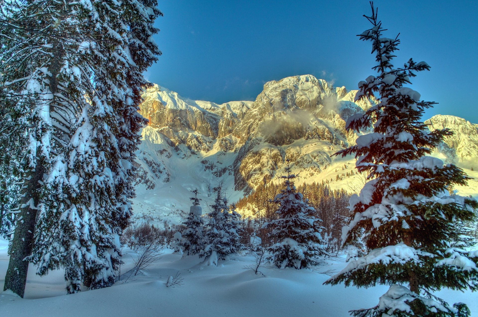 winter berge österreich schnee bäume fichte alpen natur