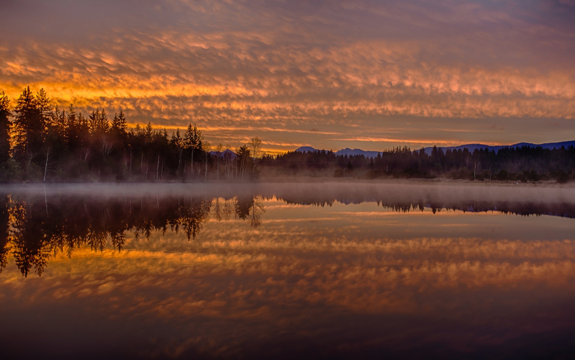kirchsee bayern deutschland morgendämmerung morgen nebel reflexion wald