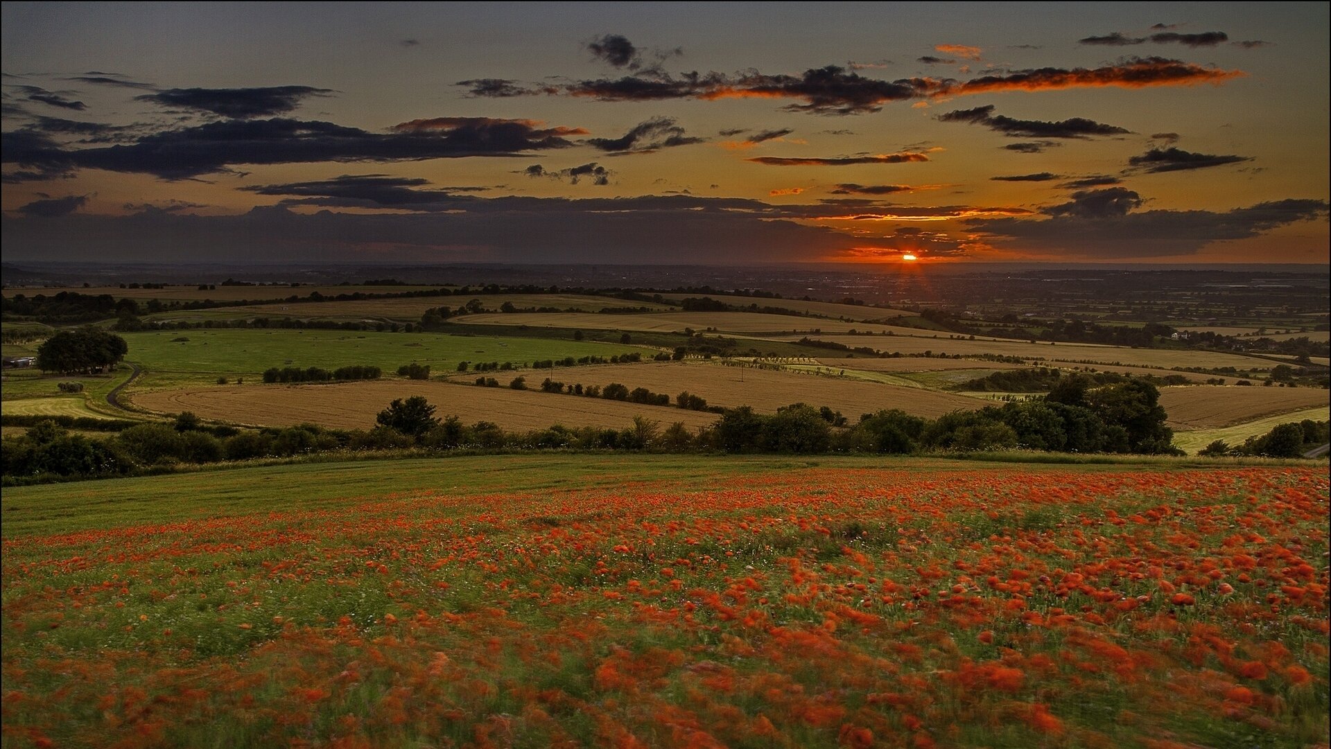 felder sonnenuntergang mohnblumen