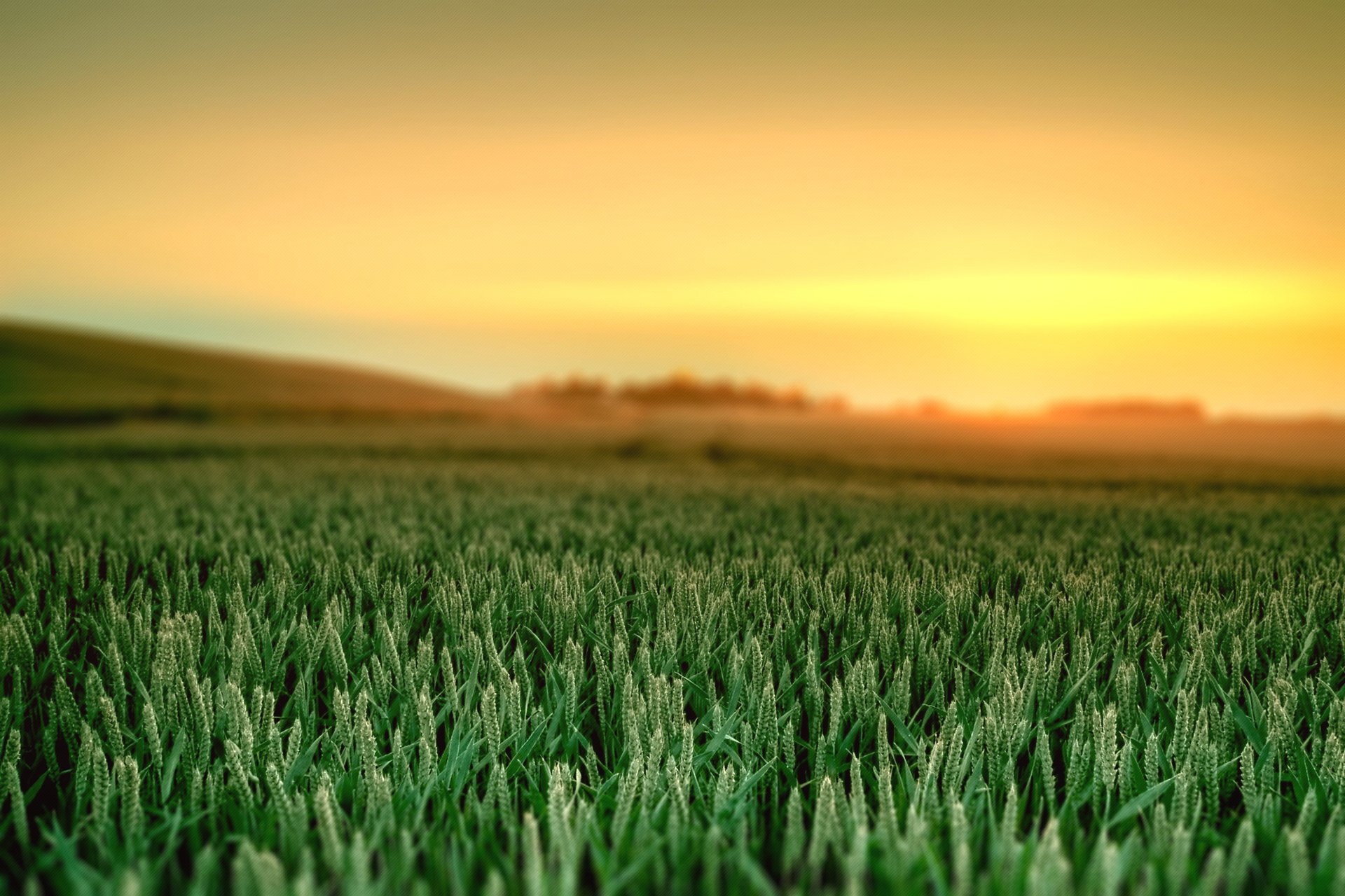 landschaft natur dämmerung gras farben himmel farben