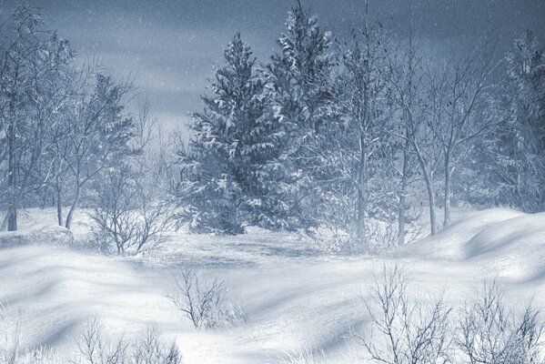 Winterlandschaft des verschneiten Waldes