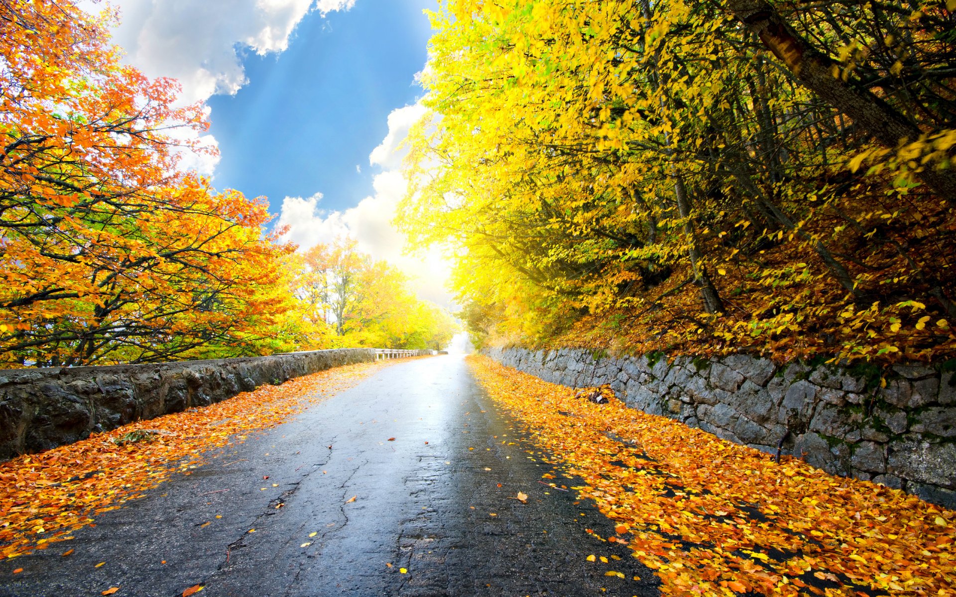 natur landschaft himmel wolken straße bäume wald blätter herbst