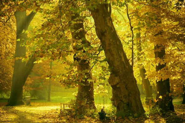 Sommerpark. Warmluft