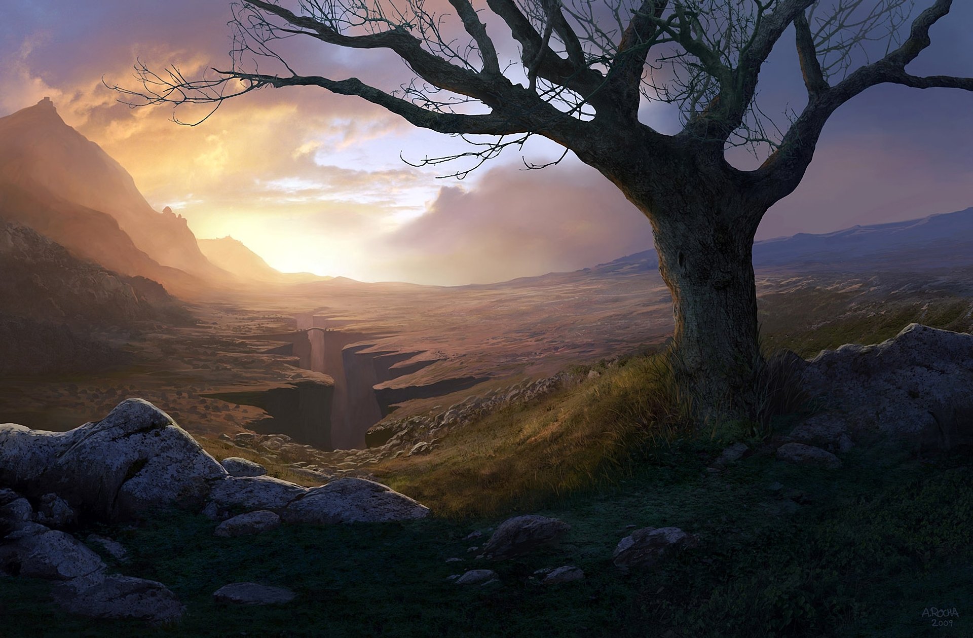 kunst andreas rocha baum schlucht schlucht felsen steine berge brücke