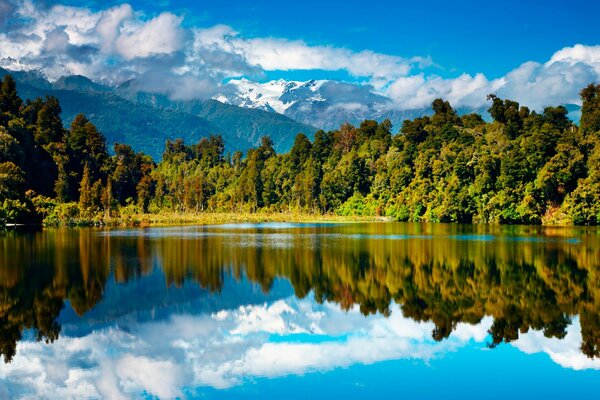 See Wald und Berge in Neuseeland